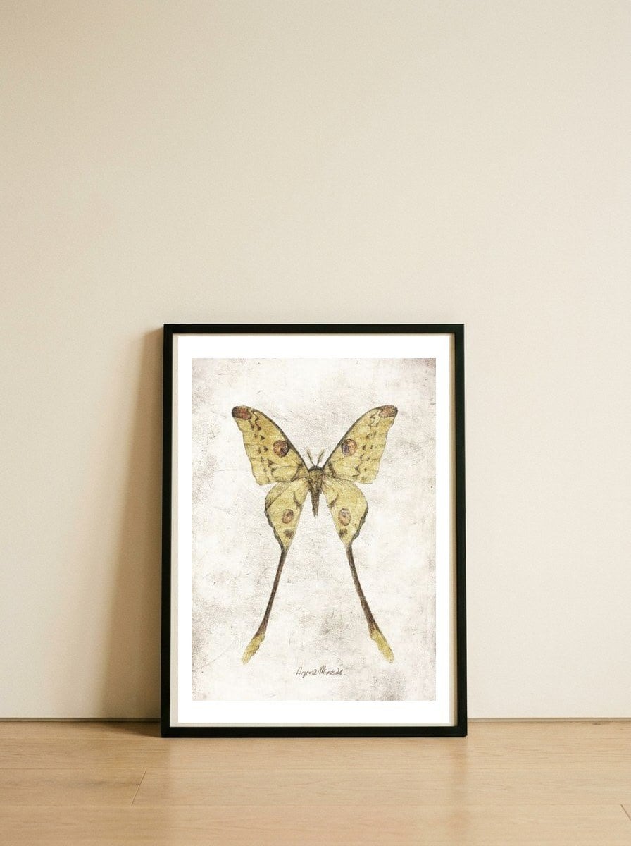 Butterflies VIII — framed, leaning against the wall