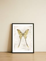Butterflies VIII — framed, leaning against the wall thumbnail