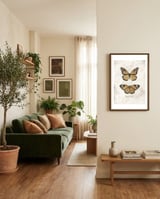 Butterflies VII framed in a grounding room thumbnail