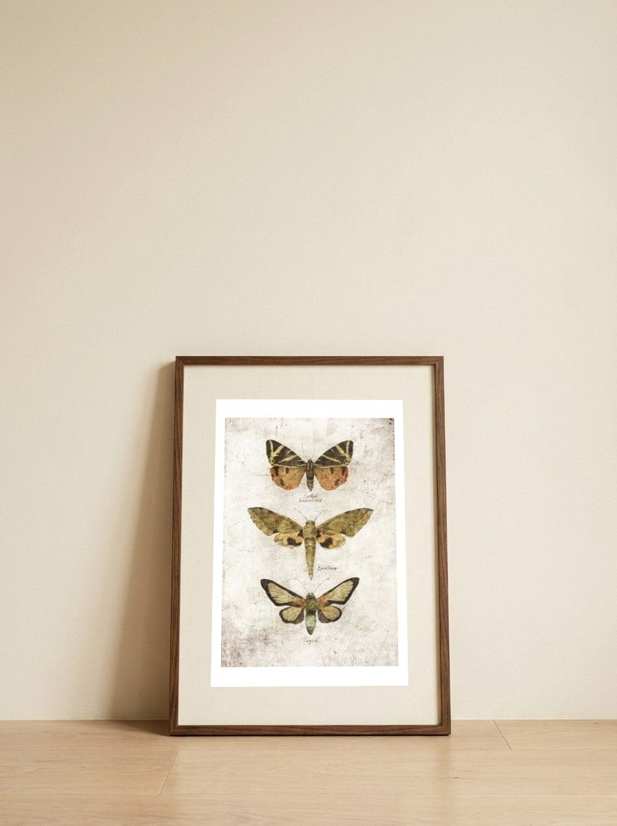 Butterflies VI — framed, leaning against the wall