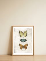 Butterflies V — framed, leaning against the wall thumbnail