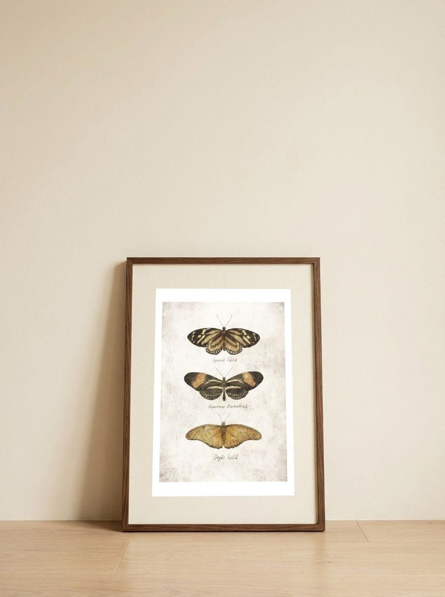 Butterflies IV — framed, leaning against the wall