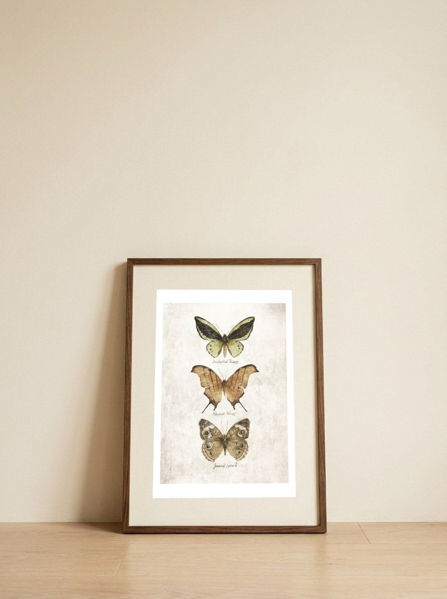 Butterflies III — framed, leaning against the wall