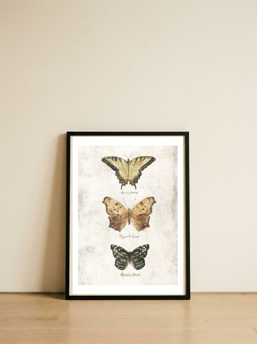 Butterflies I — framed, leaning against the wall