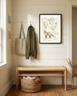 Fox framed in a relaxed room thumbnail