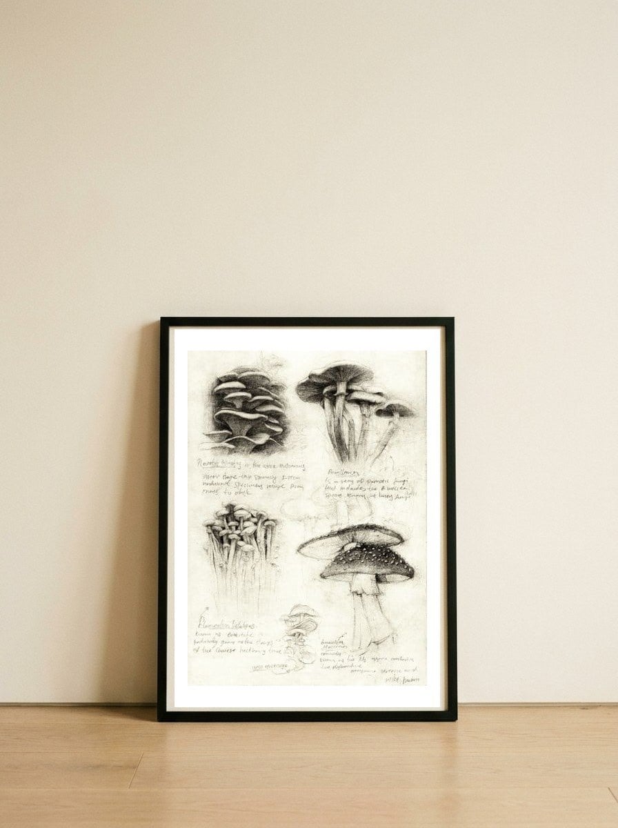 Mushrooms — framed, leaning against the wall