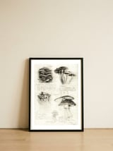 Mushrooms — framed, leaning against the wall thumbnail