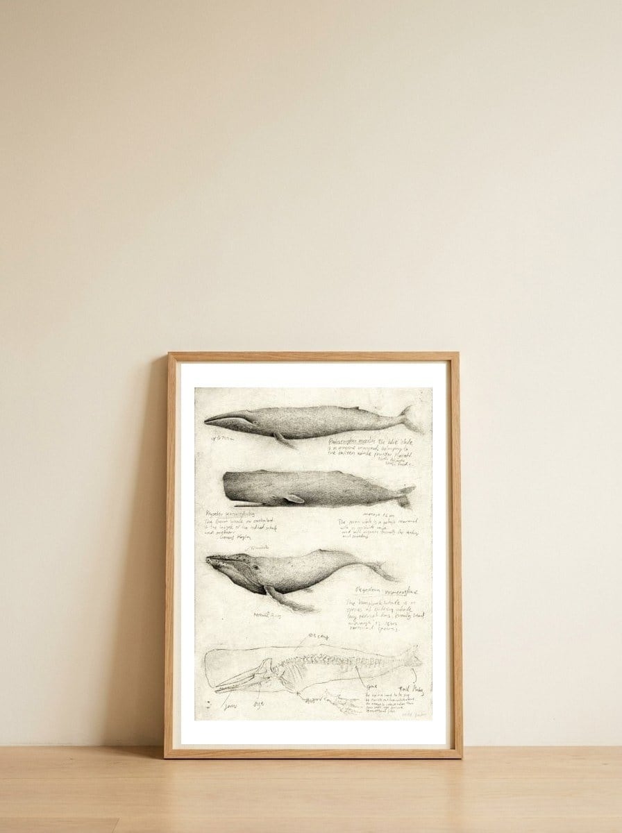 Whales — framed, leaning against the wall