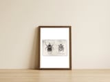 Ornate Goliath Trichogomphus Martabani — framed, leaning against the wall thumbnail