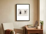 Xylotrupes Gideon Odontolabis Elegans framed in a focused room thumbnail