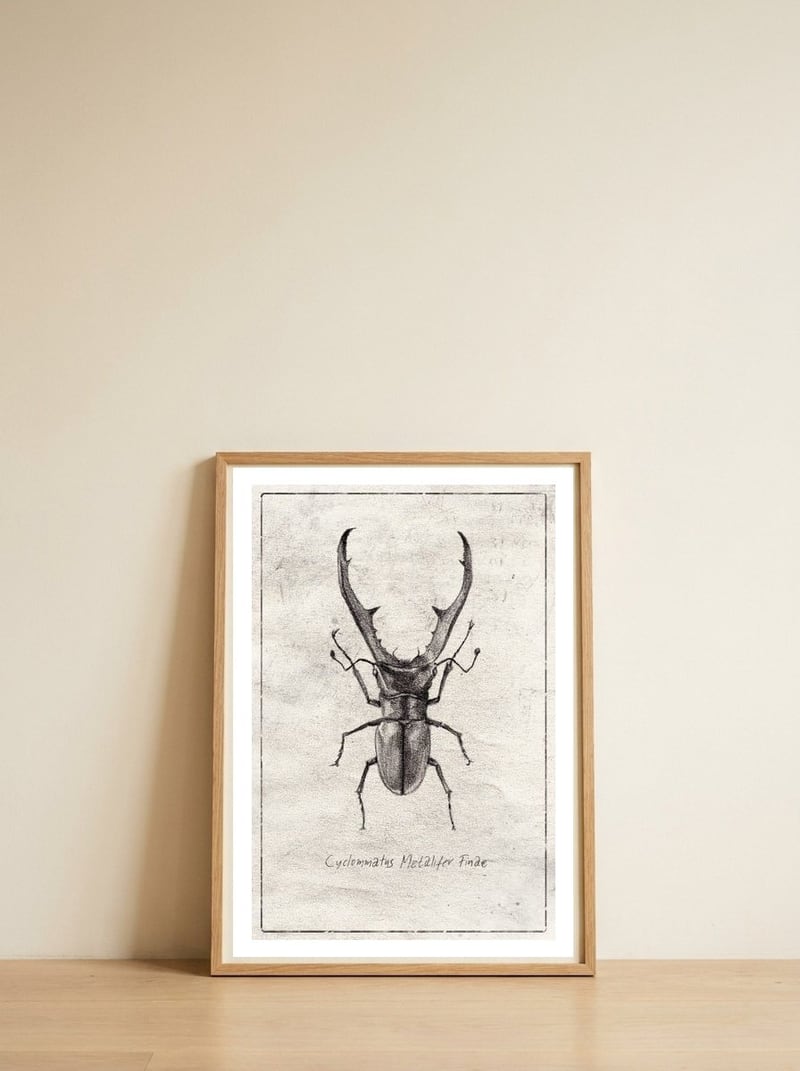Cyclommatus Metalifer Finae — framed, leaning against the wall