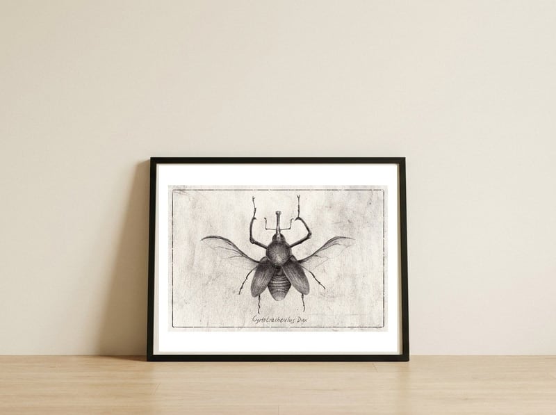 Cyrtotracheulus Dux — framed, leaning against the wall