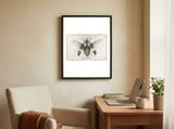 Megaloxanthia framed in a focused room thumbnail