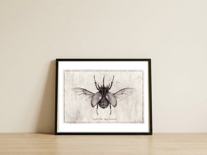 Eupatorus Gracilicornis — framed, leaning against the wall