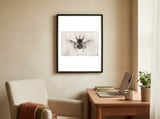 Eupatorus Gracilicornis framed in a focused room thumbnail