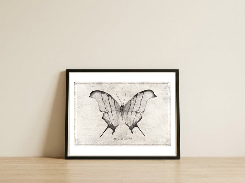 Marpesia Petreus — framed, leaning against the wall