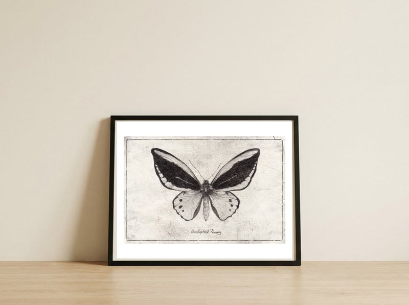 Ornithoptera Priamus — framed, leaning against the wall