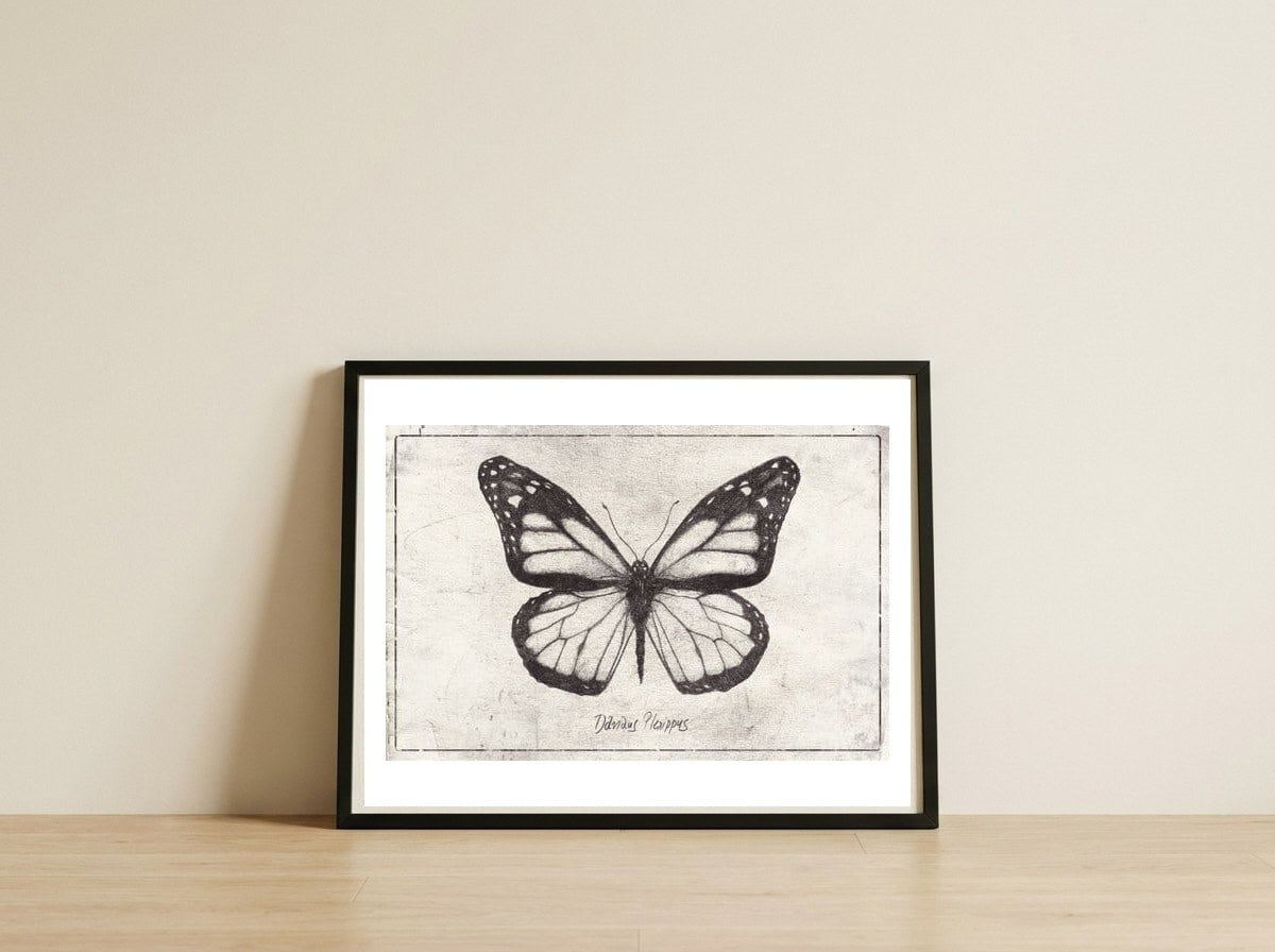 Danaus Plexippus — framed, leaning against the wall