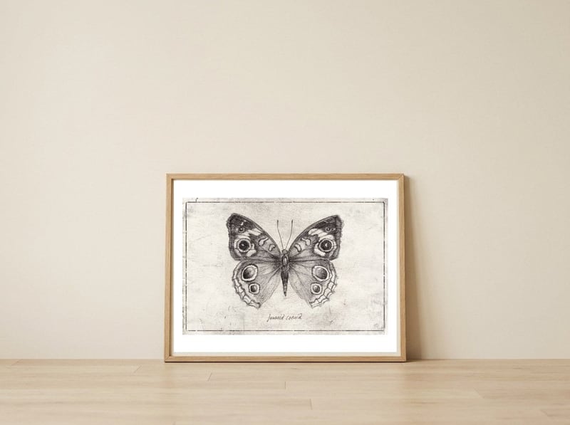 Junonia Coenia — framed, leaning against the wall