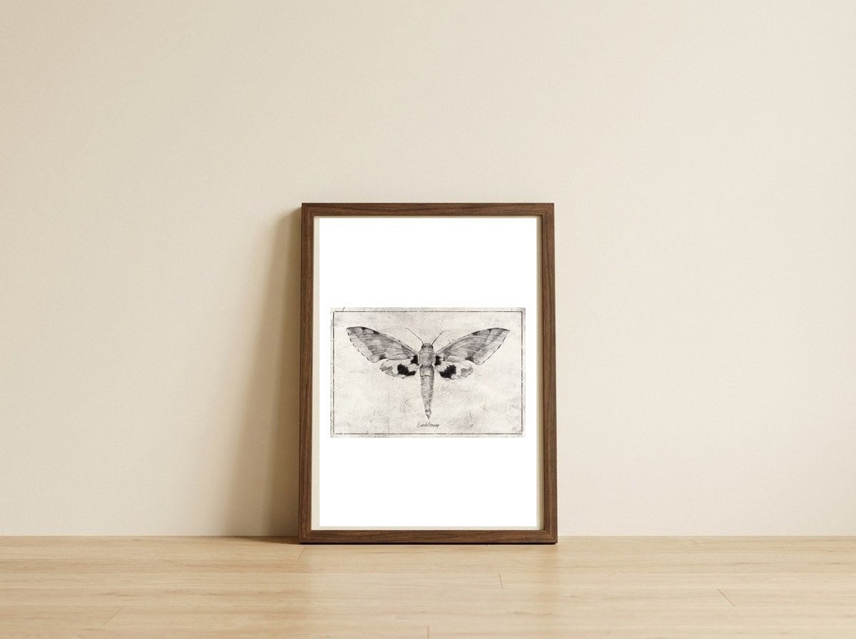 Euchloron — framed, leaning against the wall