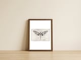 Euchloron — framed, leaning against the wall thumbnail