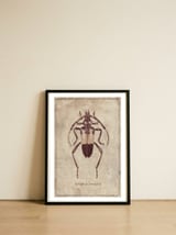 Pachyteria Dimidiata — framed, leaning against the wall thumbnail