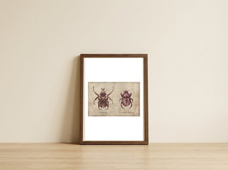 Ornate Goliath Trichogomphus Martabani — framed, leaning against the wall