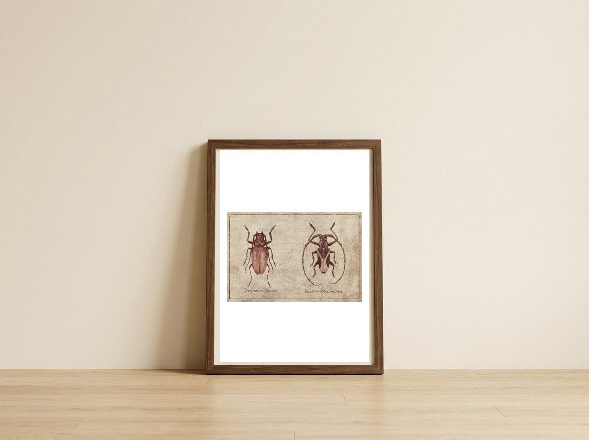 Dorysthenes Buqueti Paraleprodera Crucifera — framed, leaning against the wall