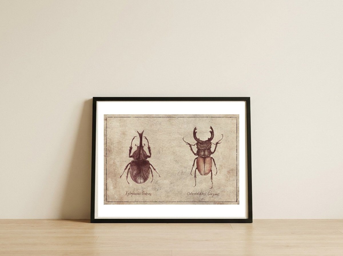 Xylotrupes Gideon Odontolabis Elegans — framed, leaning against the wall