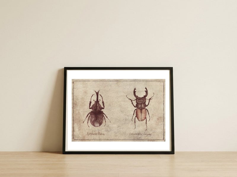 Xylotrupes Gideon Odontolabis Elegans — framed, leaning against the wall