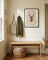 Cyclommatus Metalifer Finae framed in a relaxed room thumbnail