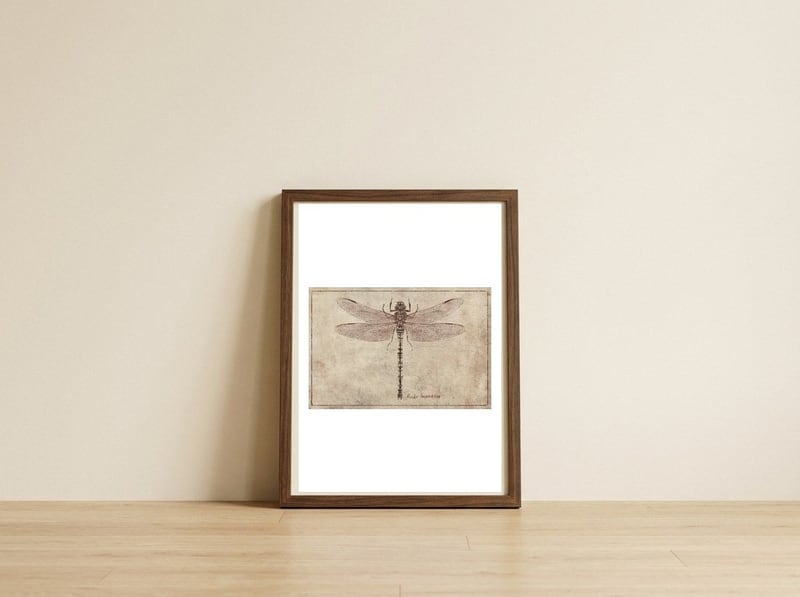 Anax Imperator — framed, leaning against the wall