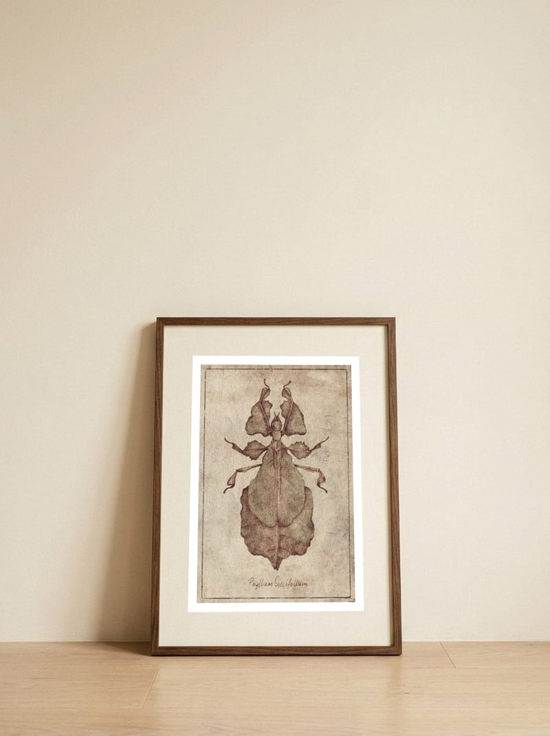 Phyllium Siccifolium — framed, leaning against the wall