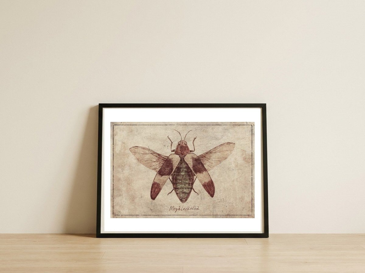 Megaloxantha — framed, leaning against the wall