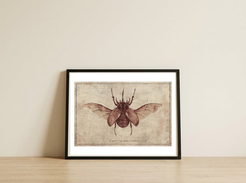 Eupatorus Gracilicornis — framed, leaning against the wall