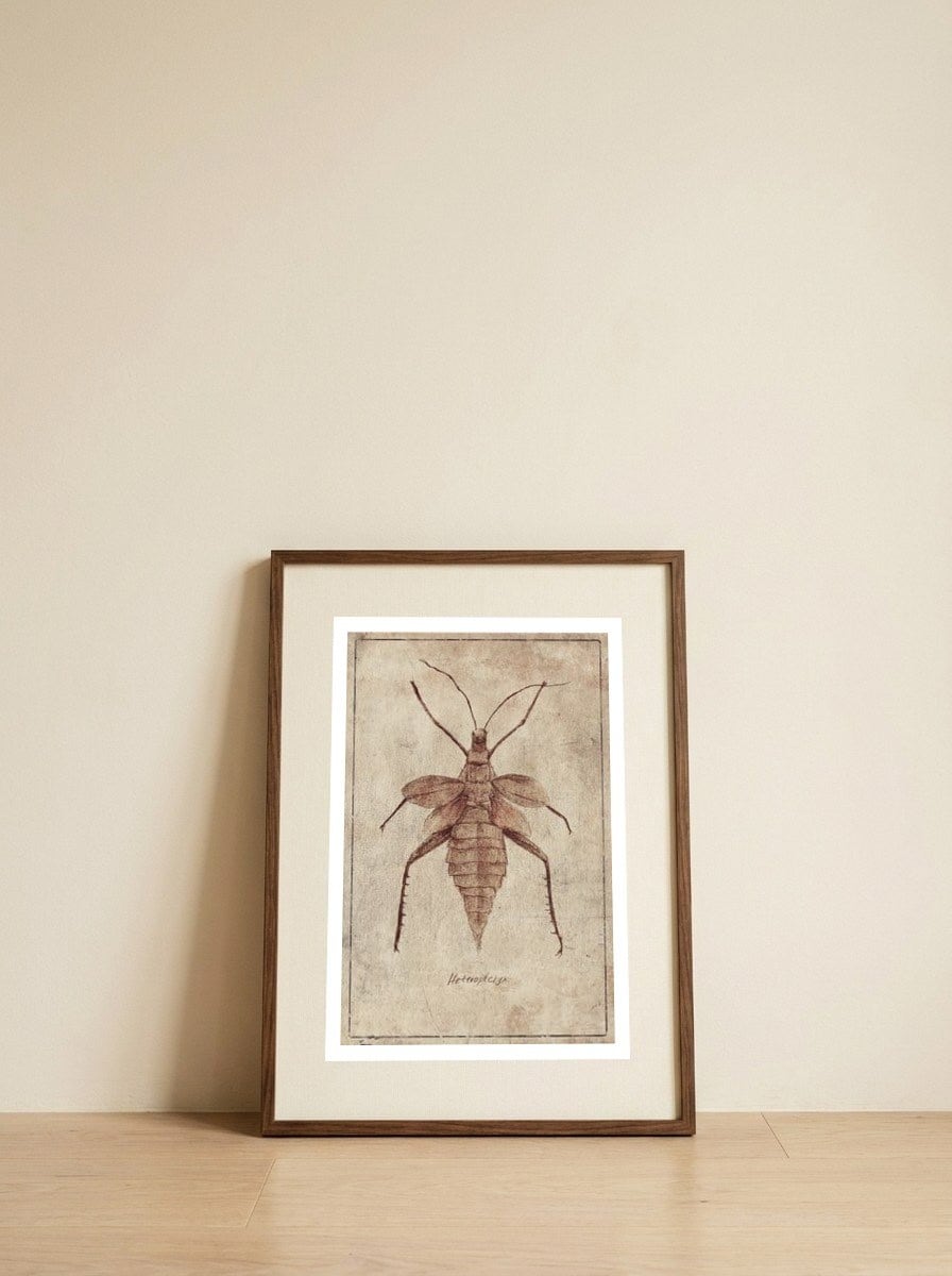 Heteroptryx — framed, leaning against the wall