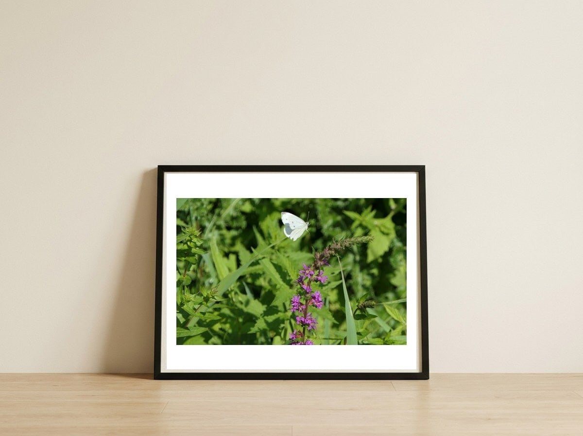 Butterfly Touchdown — framed, leaning against the wall