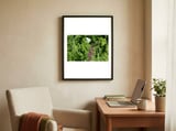 Butterfly Touchdown framed in a focused room thumbnail