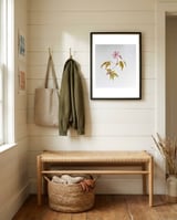 Herb Robert, Geranium Robertianum framed in a relaxed room thumbnail