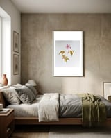 Herb Robert, Geranium Robertianum framed in a grounding room thumbnail