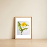 Dandelion — framed, leaning against the wall thumbnail