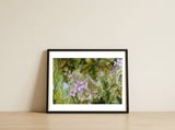 Summer Blackberry — framed, leaning against the wall thumbnail