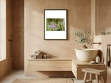 Summer Blackberry framed in a serene room thumbnail
