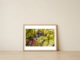 Autumn Blackberry — framed, leaning against the wall thumbnail