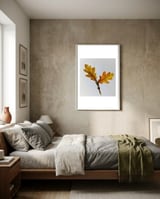 Oak Leaves, Autumn framed in a grounding room thumbnail