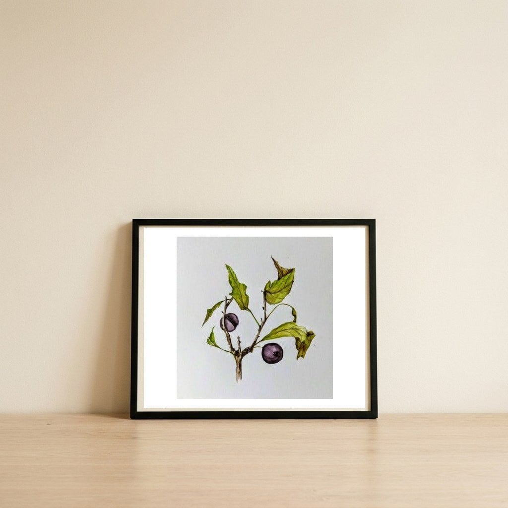 Sloe, Blackthorn Berries — framed, leaning against the wall