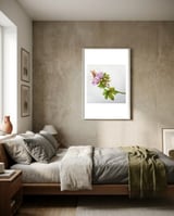 Meadow Cranesbill framed in a grounding room thumbnail
