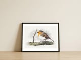 Robin — framed, leaning against the wall thumbnail
