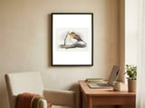 Robin framed in a focused room thumbnail