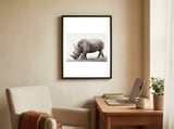 Rhino framed in a focused room thumbnail
